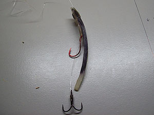 tuning MC Rockets